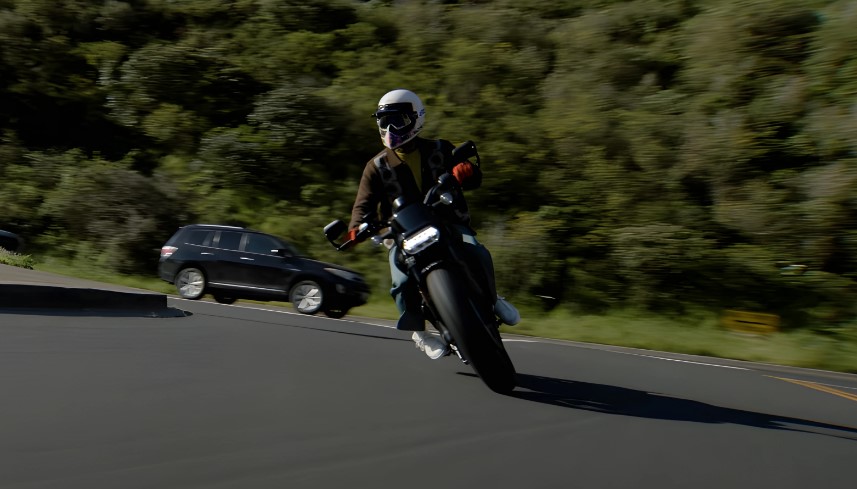 Motorcyclist navigating a scenic highway, surrounded by lush greenery