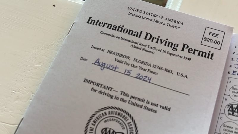International Driving Permit issued in Florida, valid from August 15, 2024, with a $20 fee
