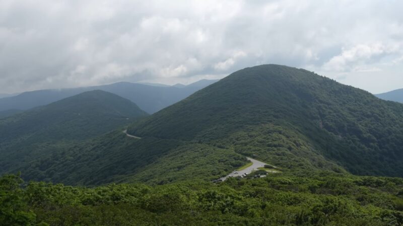 Winding road through lush green mountains along the Blue Ridge Parkway in North Carolina under a cloudy sky.