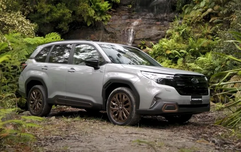 Green forest surrounds Subaru Forester